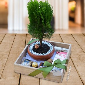 Bonsai-Dorado-Regalos-Corporativos-Ecuador-Quito-Guayaquil